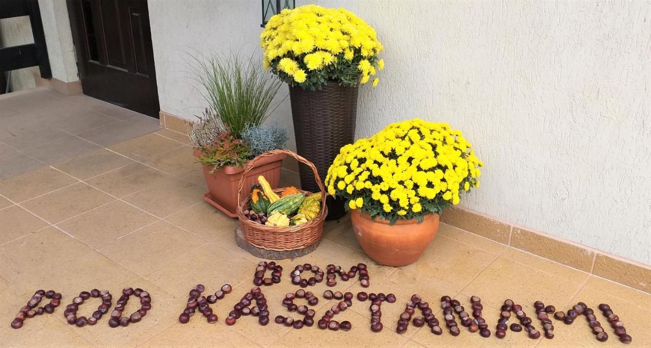 Appartamento Dom Pod Kasztanami Kazimierz Dolny Esterno foto